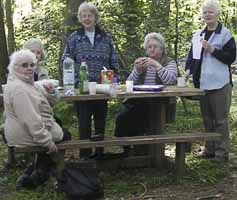 Picnic yng nghanol y goedwig