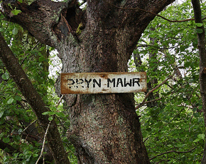 Arwydd Bryn Mawr